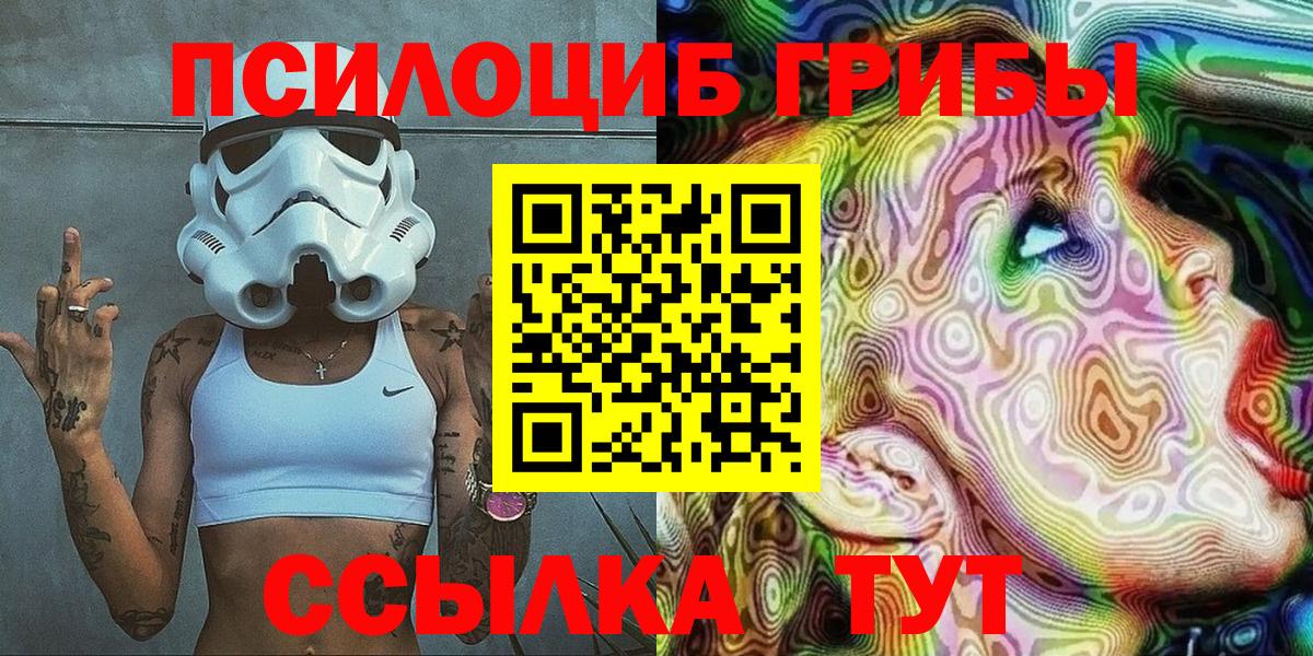 Галлюциногенные грибы Psilocybe Ипатово