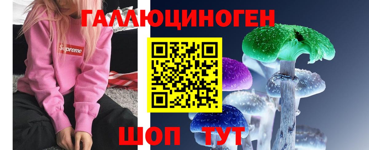 Ипатово  Галлюциногенные грибы MAGIC MUSHROOMS  Галлюциногенные грибы MAGIC MUSHROOMS  Вход с VPN 